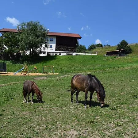 Apart Alpenrose *