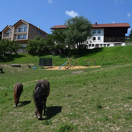 Apart Alpenrose Apartment Fiss
